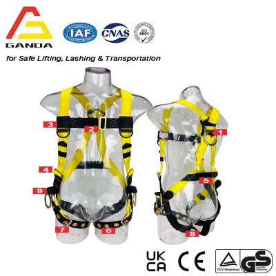 Safety Harness