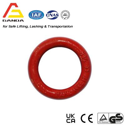 Forged Alloy Steel Lifting Ring