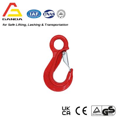 G80 Eye Sling Hook with Latch