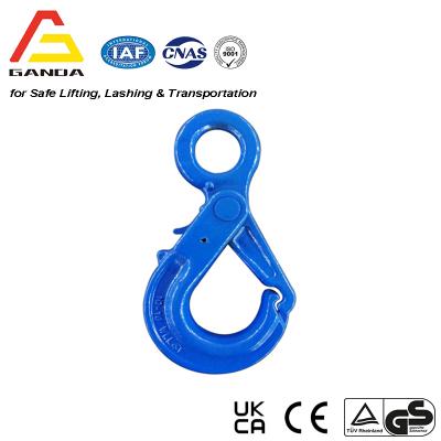 G100 Eye Self Locking Hook